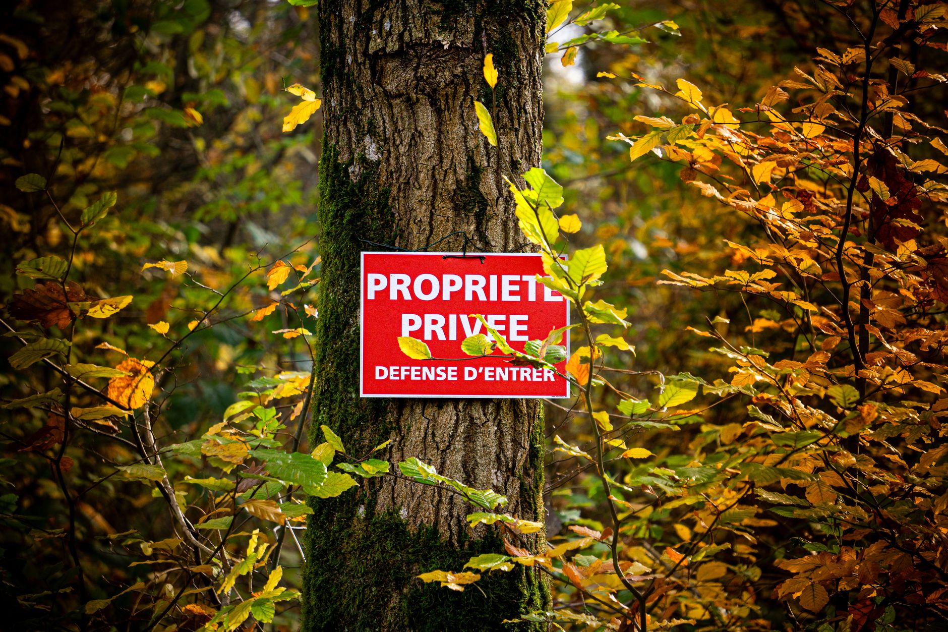 Détective privé à Évry-Courcouronnes